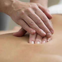 Futon SHIATSU DESHI  SD4