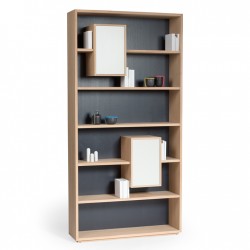 Bibliothèque MIXAGE 100