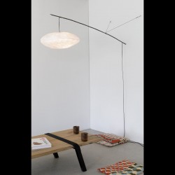 NUAGE PERCHÉ À UNE BRANCHE...