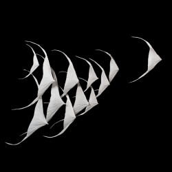 Mobile 'Poisson Ange'